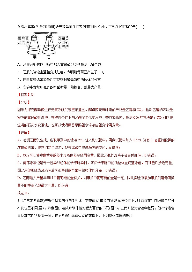 2021年高考生物真题与模拟题分类训练专题03细胞呼吸与光合作用（含解析）第2页