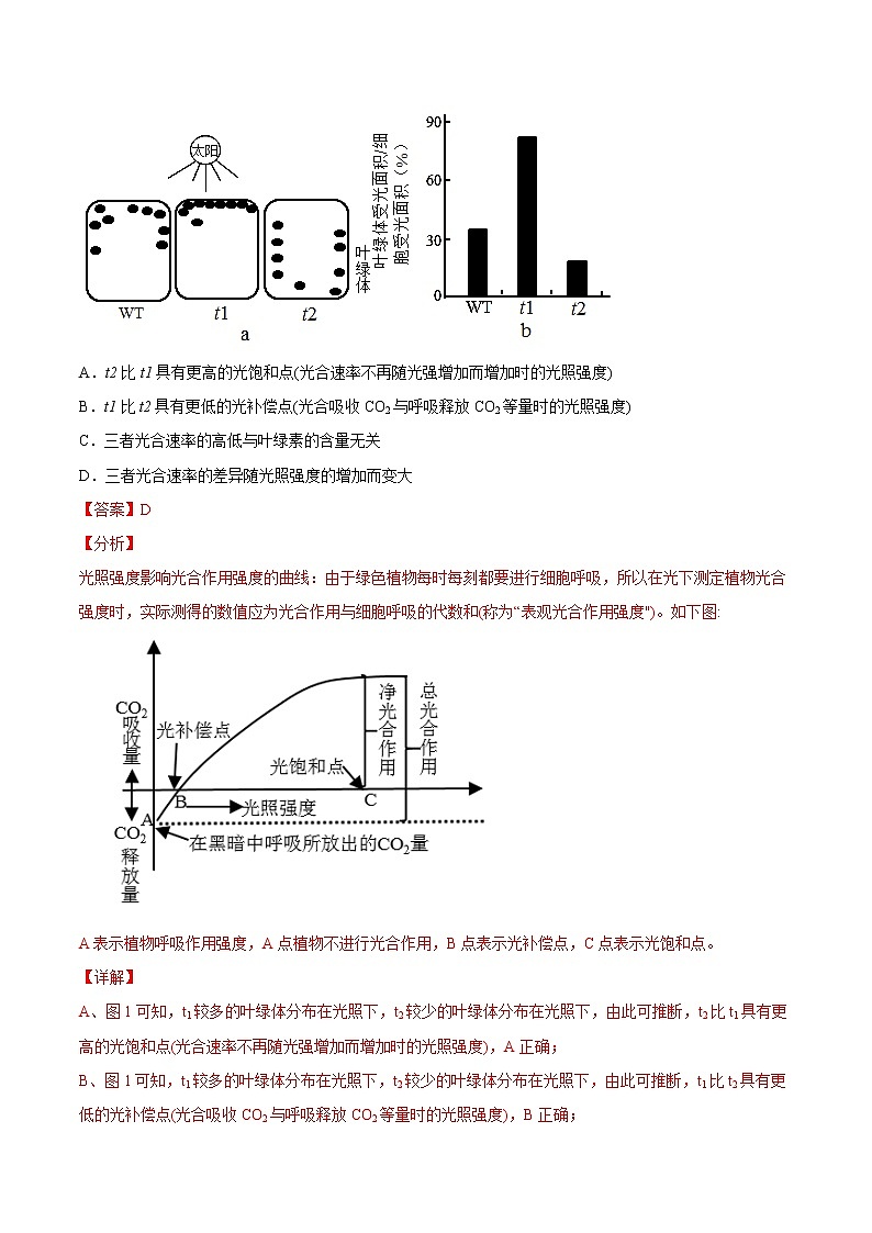 2021年高考生物真题与模拟题分类训练专题03细胞呼吸与光合作用（含解析）第3页