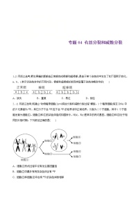 2021年高考生物真题与模拟题分类训练专题04有丝分裂和减数分裂（2份打包，含解析+原卷版，可预览）