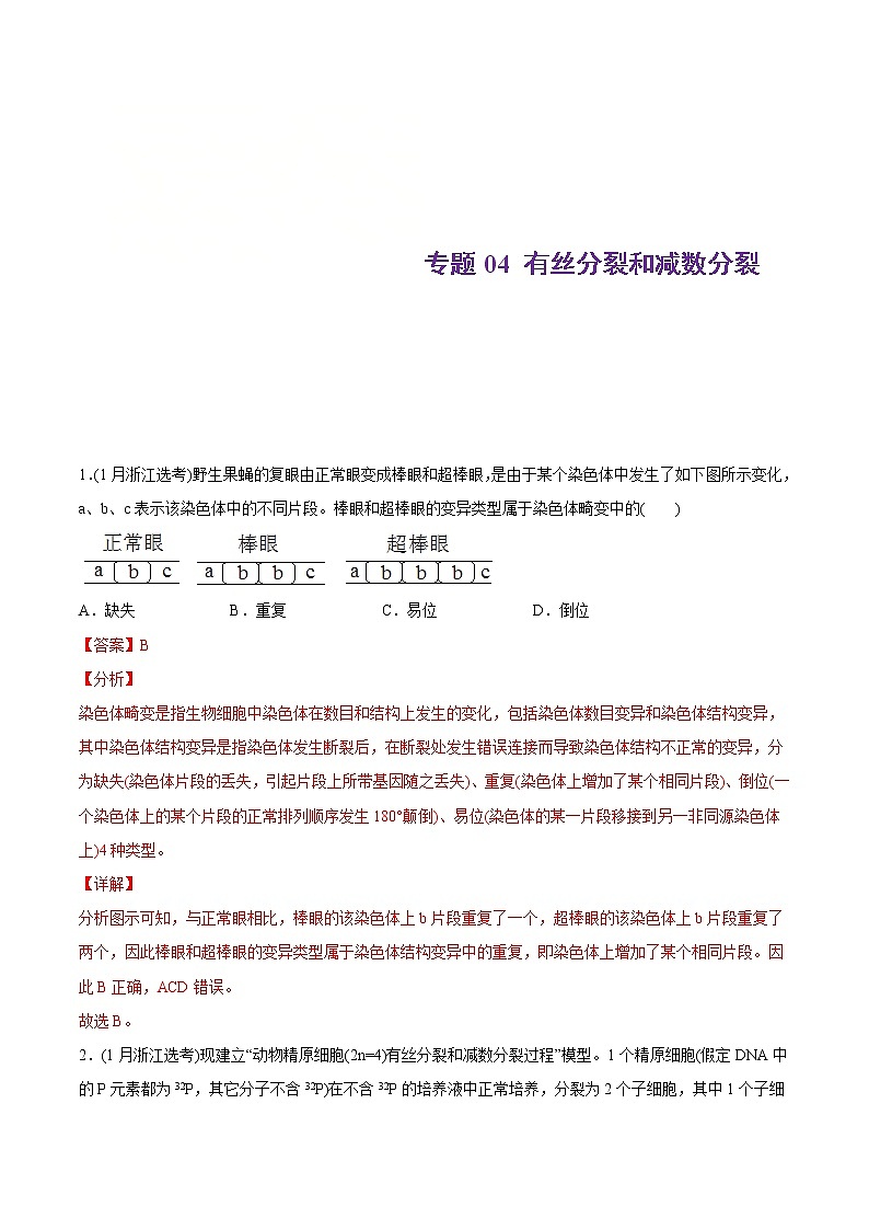 2021年高考生物真题与模拟题分类训练专题04有丝分裂和减数分裂（2份打包，含解析+原卷版，可预览）01