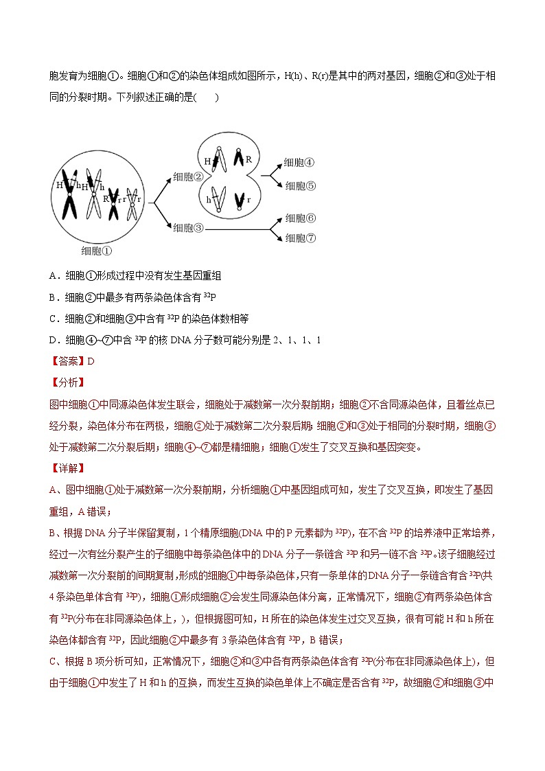 2021年高考生物真题与模拟题分类训练专题04有丝分裂和减数分裂（2份打包，含解析+原卷版，可预览）02