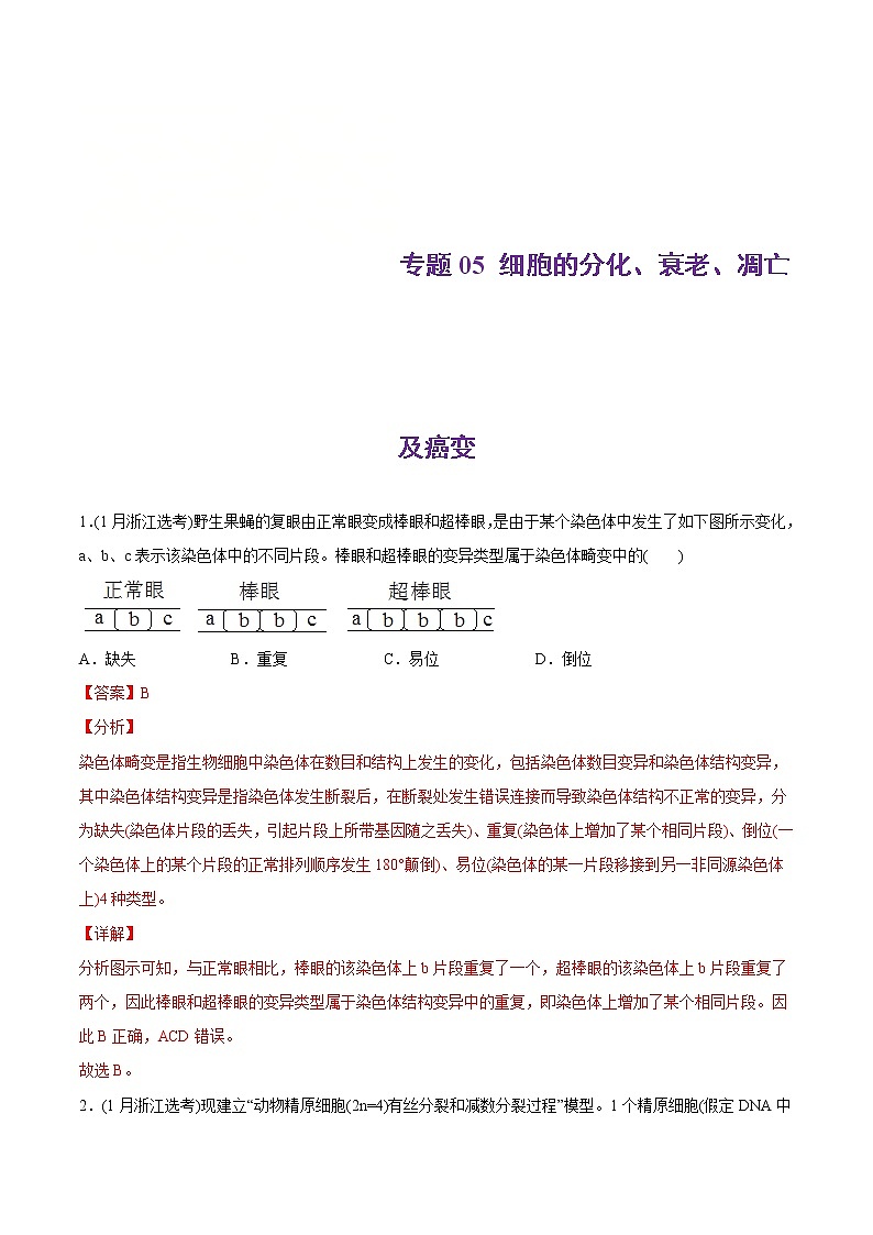 2021年高考生物真题与模拟题分类训练专题05细胞的分化、衰老、凋亡及癌变（含解析）第1页