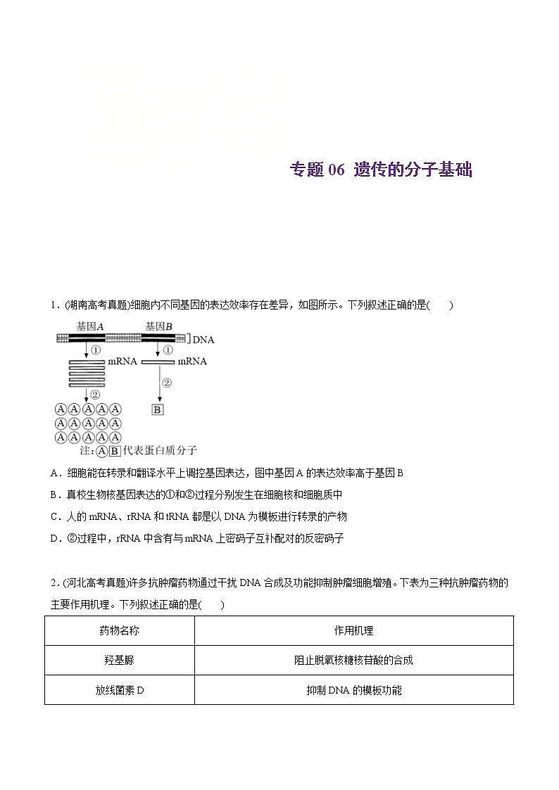 2021年高考生物真题与模拟题分类训练专题06遗传的分子基础（原卷版）第1页