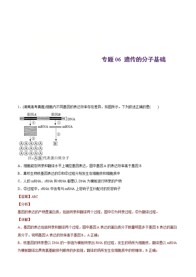 2021年高考生物真题与模拟题分类训练专题06遗传的分子基础（含解析）第1页
