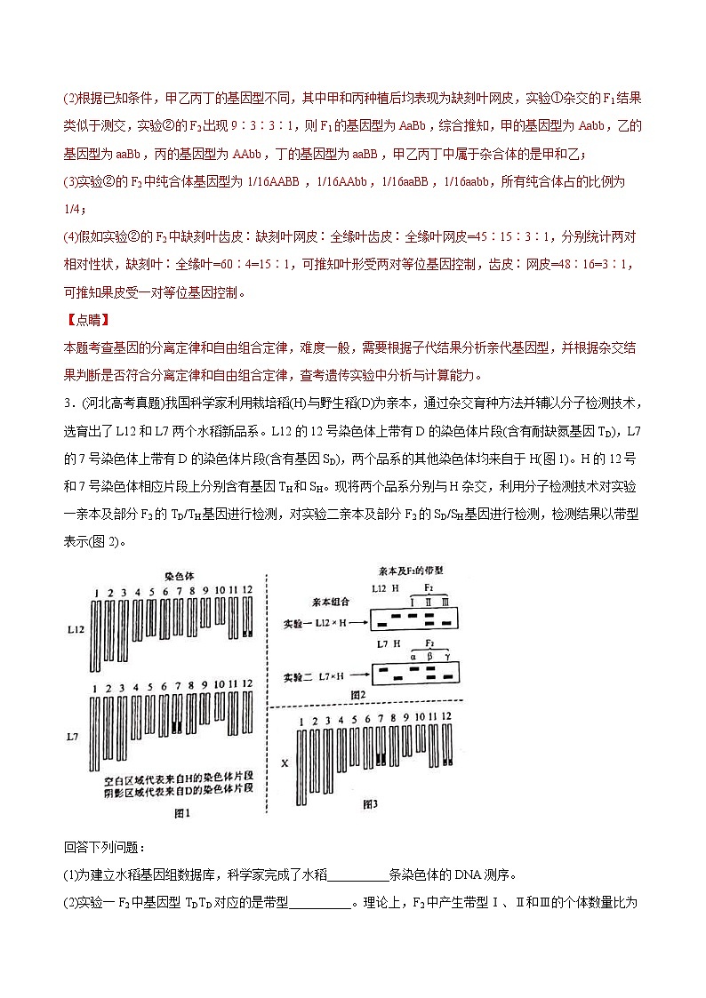 2021年高考生物真题与模拟题分类训练专题07基因的分离定律（2份打包，含解析+原卷版，可预览）03