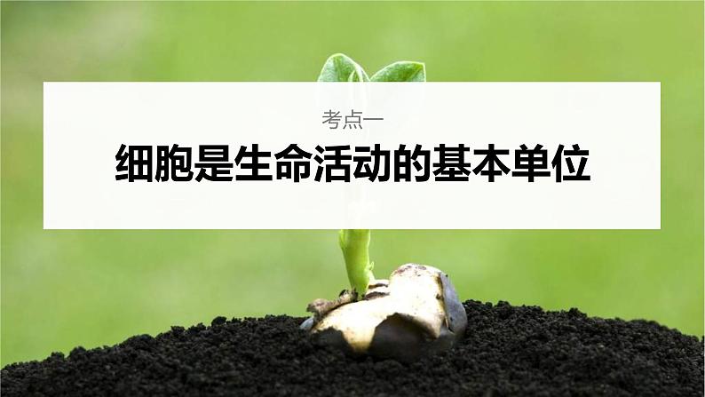 (新高考)2023年高考生物一轮复习课件第1单元第1课时走近细胞(含解析)第4页