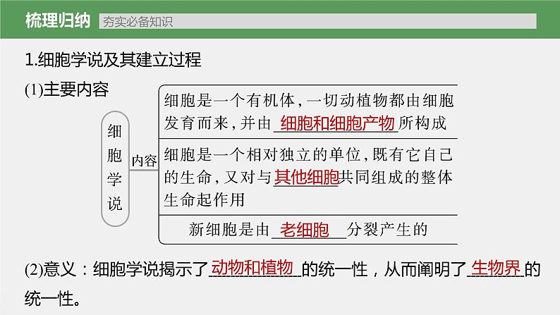 (新高考)2023年高考生物一轮复习课件第1单元第1课时走近细胞(含解析)第5页