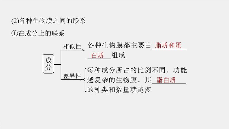 (新高考)2023年高考生物一轮复习课件第2单元第3课时细胞器之间的协调配合(含解析)05