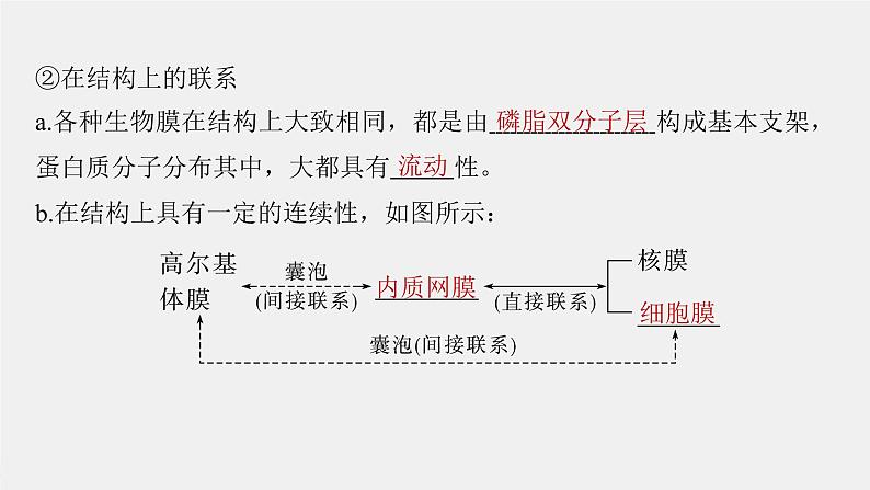 (新高考)2023年高考生物一轮复习课件第2单元第3课时细胞器之间的协调配合(含解析)06