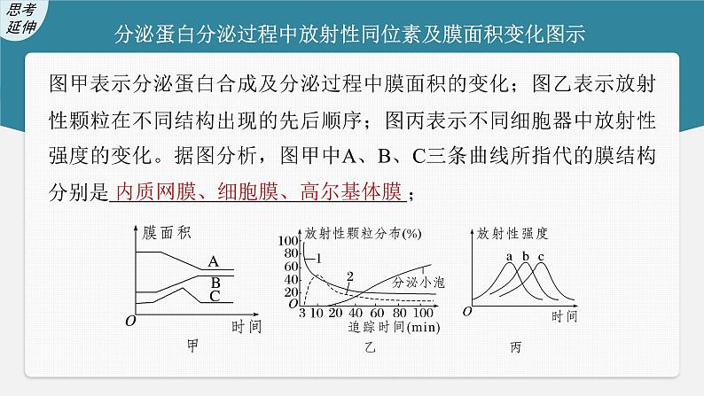 (新高考)2023年高考生物一轮复习课件第2单元第3课时细胞器之间的协调配合(含解析)08