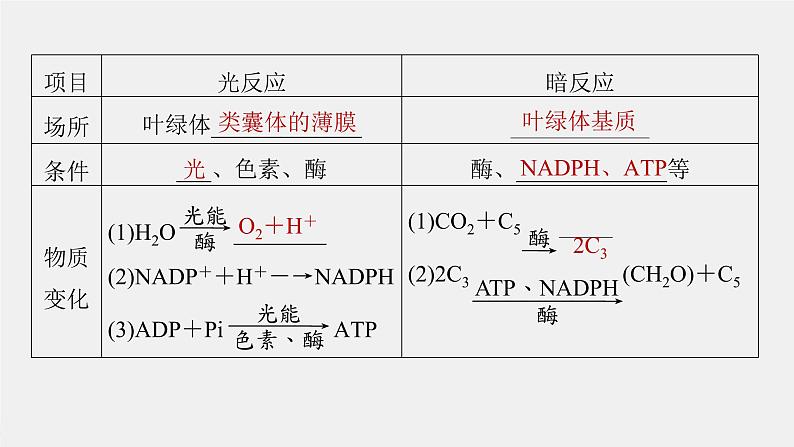 (新高考)2023年高考生物一轮复习课件第3单元第6课时光合作用的原理(含解析)第6页