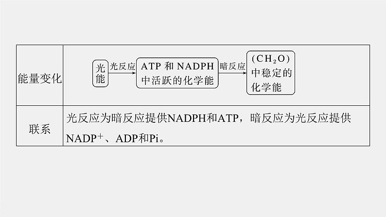 (新高考)2023年高考生物一轮复习课件第3单元第6课时光合作用的原理(含解析)第7页