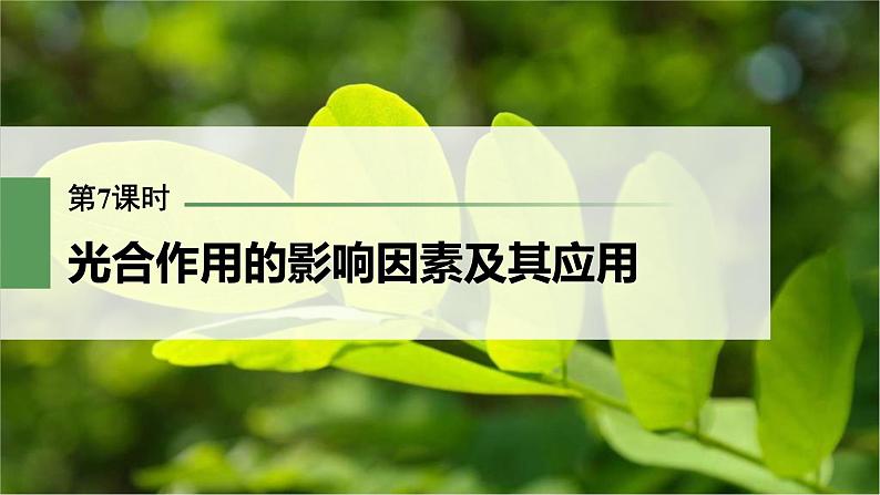 (新高考)2023年高考生物一轮复习课件第3单元第7课时光合作用的影响因素及其应用(含解析)01