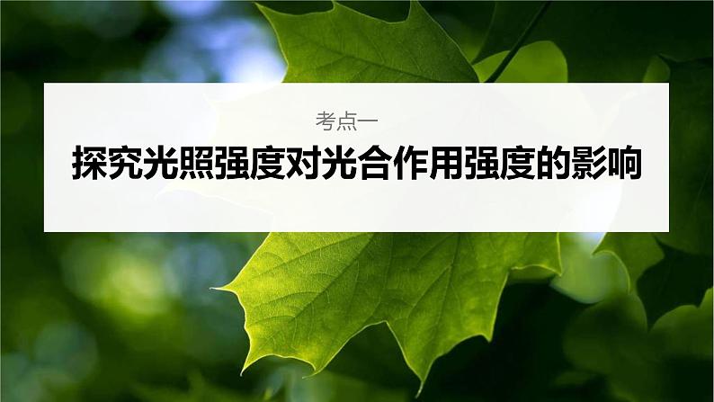 (新高考)2023年高考生物一轮复习课件第3单元第7课时光合作用的影响因素及其应用(含解析)04