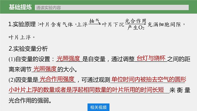 (新高考)2023年高考生物一轮复习课件第3单元第7课时光合作用的影响因素及其应用(含解析)05