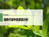 (新高考)2023年高考生物一轮复习课件第3单元长句表达(二)细胞代谢中的原因分析(含解析)