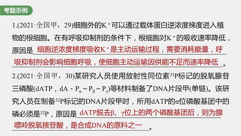 (新高考)2023年高考生物一轮复习课件第3单元长句表达(二)细胞代谢中的原因分析(含解析)02