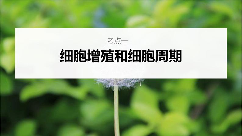 (新高考)2023年高考生物一轮复习课件第4单元第1课时细胞的增殖(含解析)04