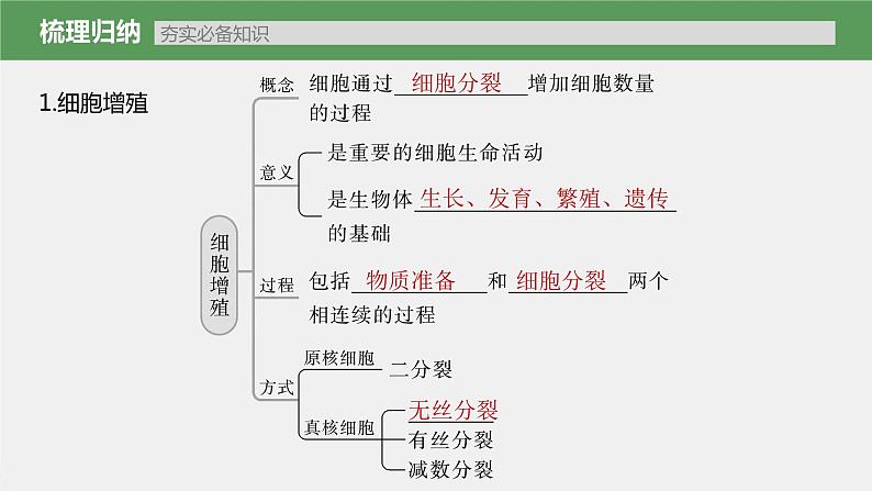 (新高考)2023年高考生物一轮复习课件第4单元第1课时细胞的增殖(含解析)05