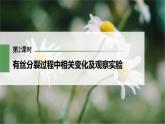 (新高考)2023年高考生物一轮复习课件第4单元第2课时有丝分裂过程中相关变化及观察实验(含解析)