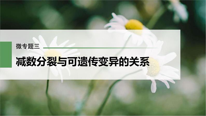 (新高考)2023年高考生物一轮复习课件第4单元微专题三减数分裂与可遗传变异的关系(含解析)01