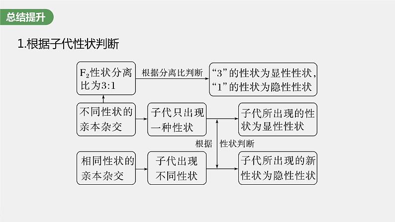 (新高考)2023年高考生物一轮复习课件第5单元第2课时基因分离定律重点题型突破(含解析)03