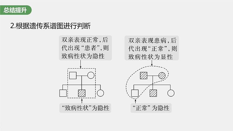 (新高考)2023年高考生物一轮复习课件第5单元第2课时基因分离定律重点题型突破(含解析)04