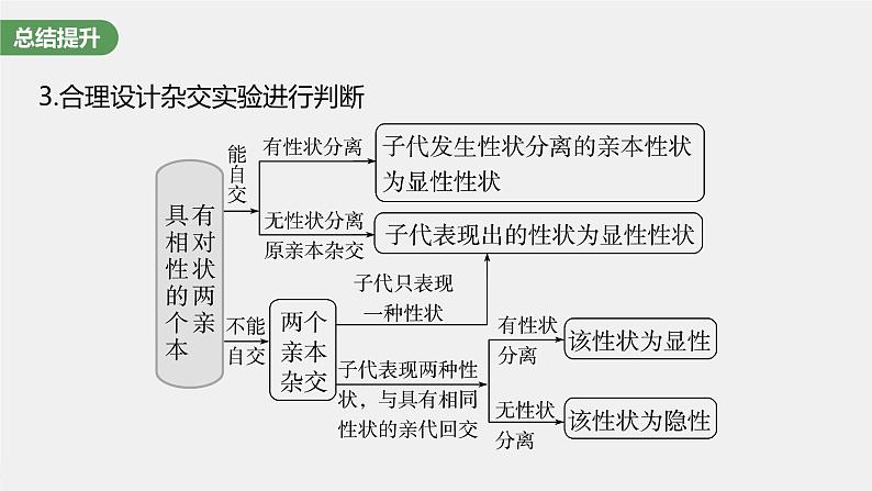 (新高考)2023年高考生物一轮复习课件第5单元第2课时基因分离定律重点题型突破(含解析)05