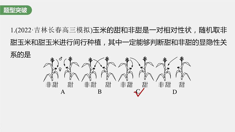 (新高考)2023年高考生物一轮复习课件第5单元第2课时基因分离定律重点题型突破(含解析)06