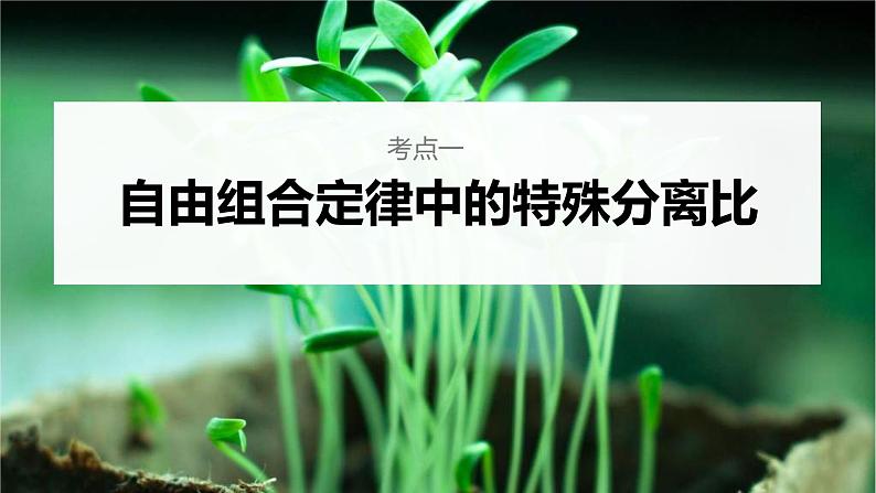 (新高考)2023年高考生物一轮复习课件第5单元第4课时自由组合定律中的特殊比例和实验探究(含解析)04