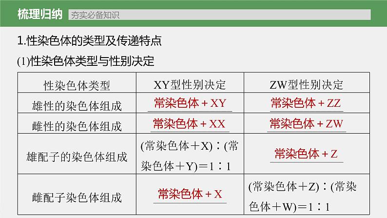 (新高考)2023年高考生物一轮复习课件第5单元第6课时伴性遗传的特点与应用及人类遗传病(含解析)第5页