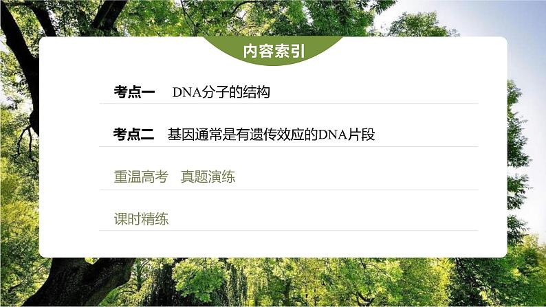 (新高考)2023年高考生物一轮复习课件第6单元第2课时DNA分子的结构及基因的概念(含解析)03