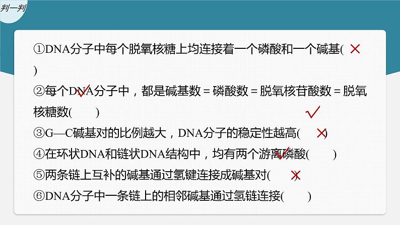 (新高考)2023年高考生物一轮复习课件第6单元第2课时DNA分子的结构及基因的概念(含解析)08