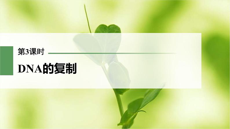 (新高考)2023年高考生物一轮复习课件第6单元第3课时DNA的复制(含解析)01