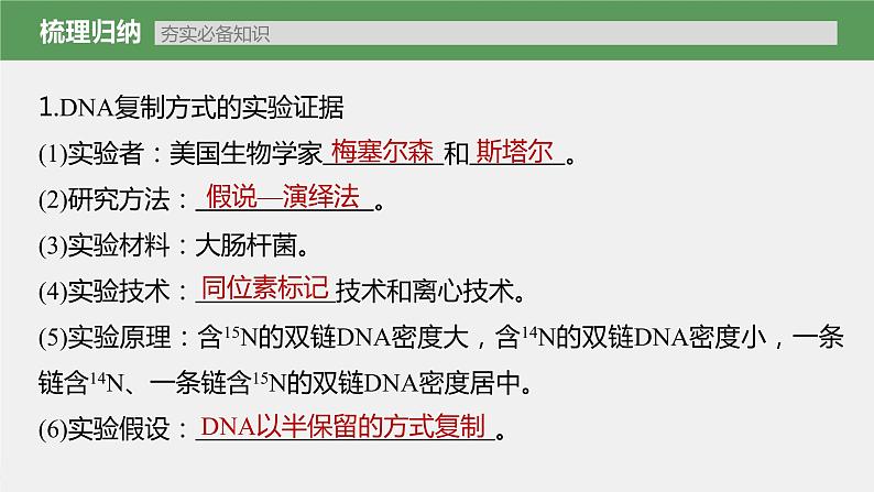 (新高考)2023年高考生物一轮复习课件第6单元第3课时DNA的复制(含解析)03