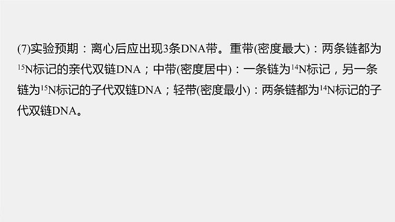 (新高考)2023年高考生物一轮复习课件第6单元第3课时DNA的复制(含解析)04