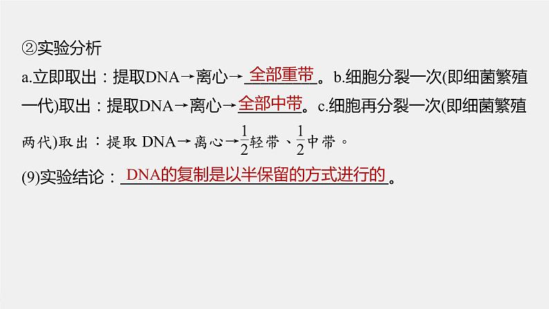 (新高考)2023年高考生物一轮复习课件第6单元第3课时DNA的复制(含解析)06