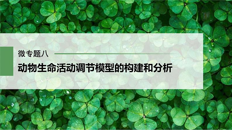 (新高考)2023年高考生物一轮复习课件第8单元微专题八动物生命活动调节模型的构建和分析(含解析)第1页