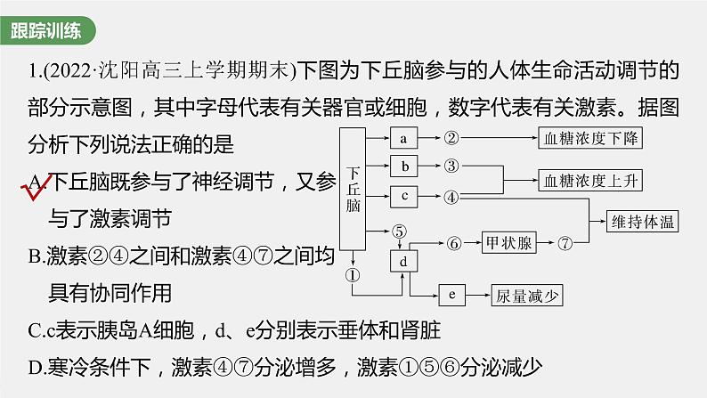 (新高考)2023年高考生物一轮复习课件第8单元微专题八动物生命活动调节模型的构建和分析(含解析)第4页