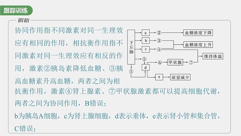 (新高考)2023年高考生物一轮复习课件第8单元微专题八动物生命活动调节模型的构建和分析(含解析)第5页