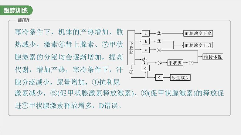 (新高考)2023年高考生物一轮复习课件第8单元微专题八动物生命活动调节模型的构建和分析(含解析)第6页