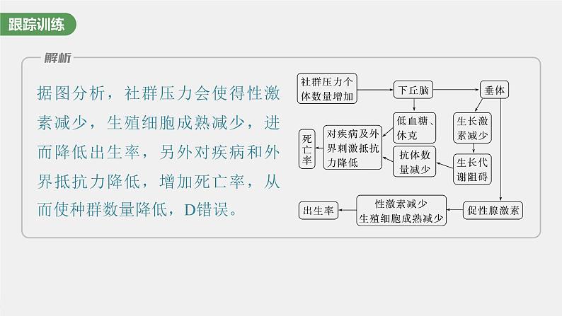 (新高考)2023年高考生物一轮复习课件第8单元微专题八动物生命活动调节模型的构建和分析(含解析)第8页