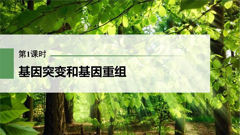 (新高考)2023年高考生物一轮复习课件第7单元第1课时基因突变和基因重组(含解析)第1页