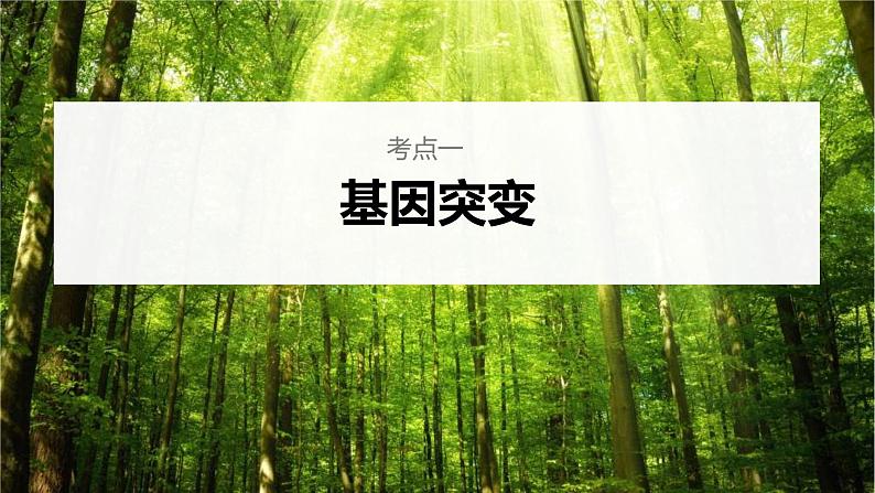 (新高考)2023年高考生物一轮复习课件第7单元第1课时基因突变和基因重组(含解析)第4页