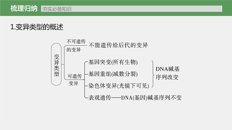 (新高考)2023年高考生物一轮复习课件第7单元第1课时基因突变和基因重组(含解析)第5页