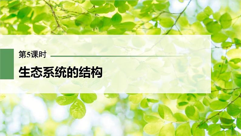 (新高考)2023年高考生物一轮复习课件第9单元第5课时生态系统的结构(含解析)01