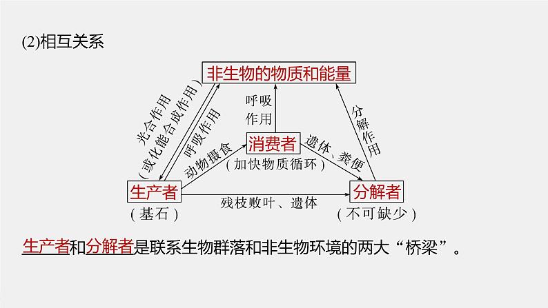 (新高考)2023年高考生物一轮复习课件第9单元第5课时生态系统的结构(含解析)08