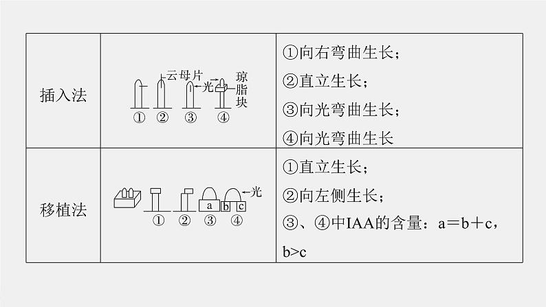 (新高考)2023年高考生物一轮复习课件第8单元微专题九植物激素调节的相关实验探究(含解析)第3页