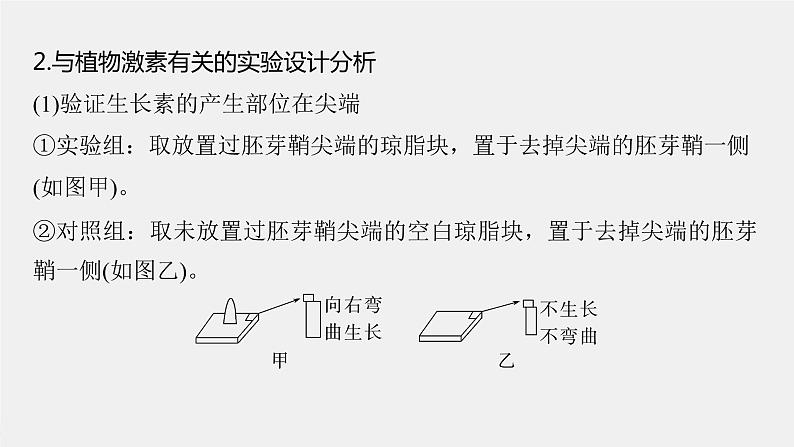 (新高考)2023年高考生物一轮复习课件第8单元微专题九植物激素调节的相关实验探究(含解析)第5页