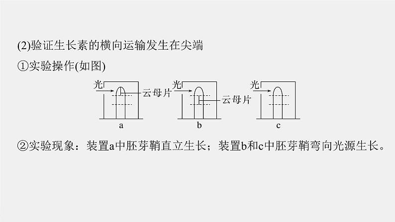 (新高考)2023年高考生物一轮复习课件第8单元微专题九植物激素调节的相关实验探究(含解析)第6页